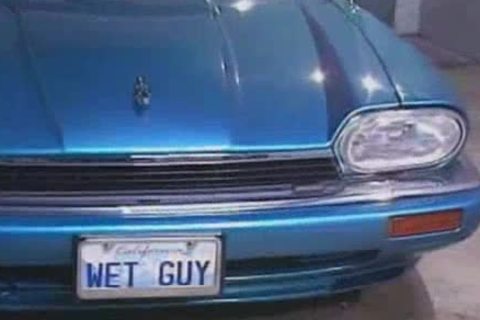 Tom Katt acquires fucked By Max