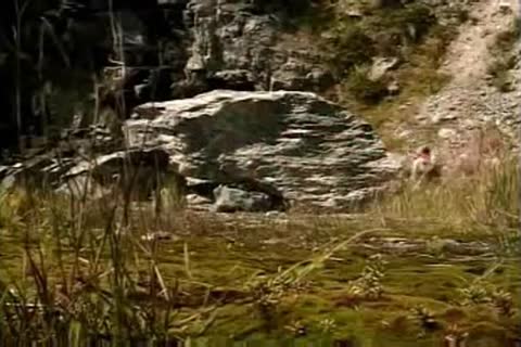 pretty boyz at the woods