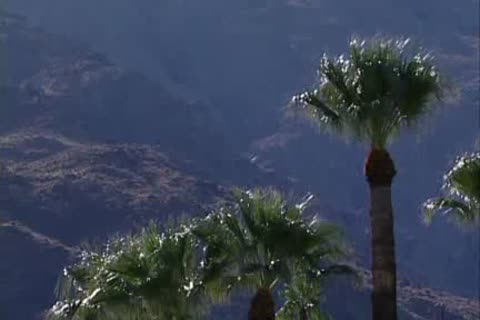 Francesco By The Pool