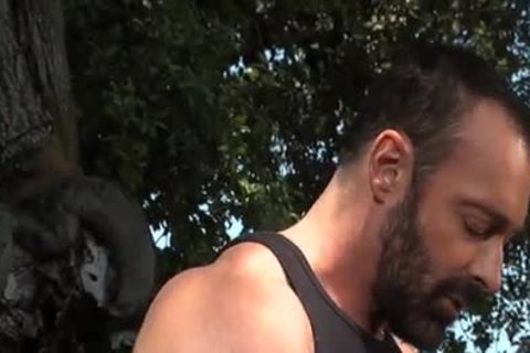 wild Bears fucking Outside