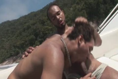 homo And On The nail Boat To Assholepoundville