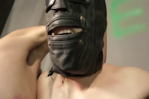 BDSM in company with cute gay