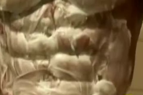 Antonio Showers And Shaves