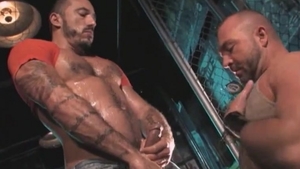 Bear fucking with big cock daddy