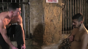 Men: Blue in Paddy's Cage of Lust